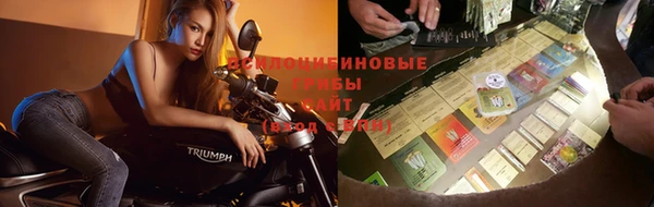 синтетический гашиш Алексеевка